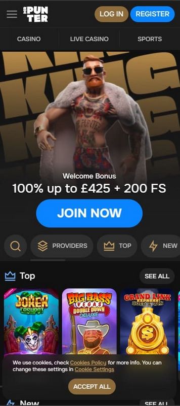 Mr Punter Casino Testbericht 2025